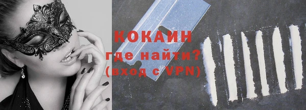 стафф Аркадак