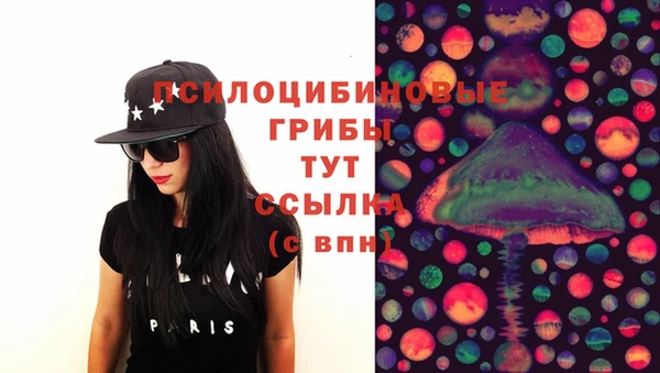 стафф Аркадак