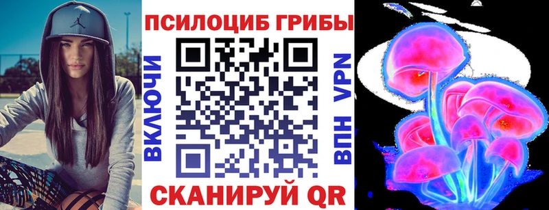наркотики  blacksprut ссылки  Галлюциногенные грибы Psilocybe  Кушва 