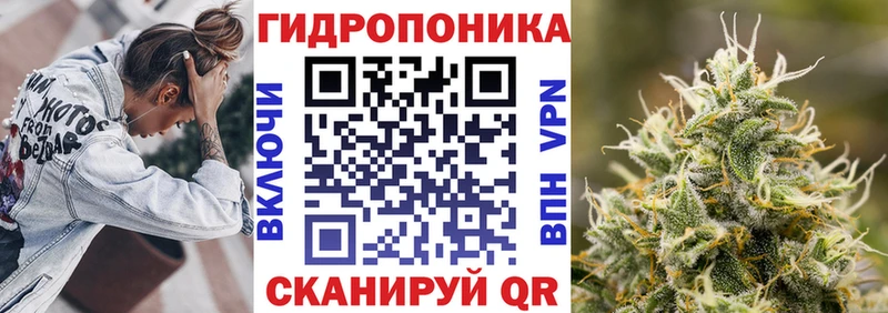 Канабис семена  купить   Кушва 